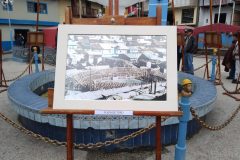 IMG_20191112_114354619-scaled