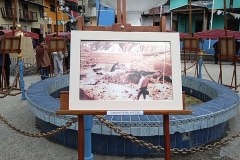 IMG_20191112_114634512