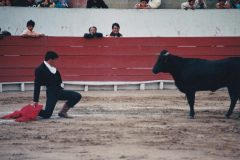 IMG_20180506_0007-copia-rotated